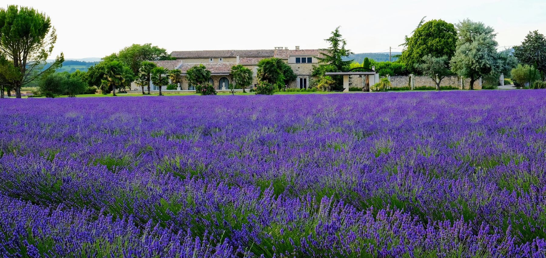 Le Mas des Lavandins villa photo.